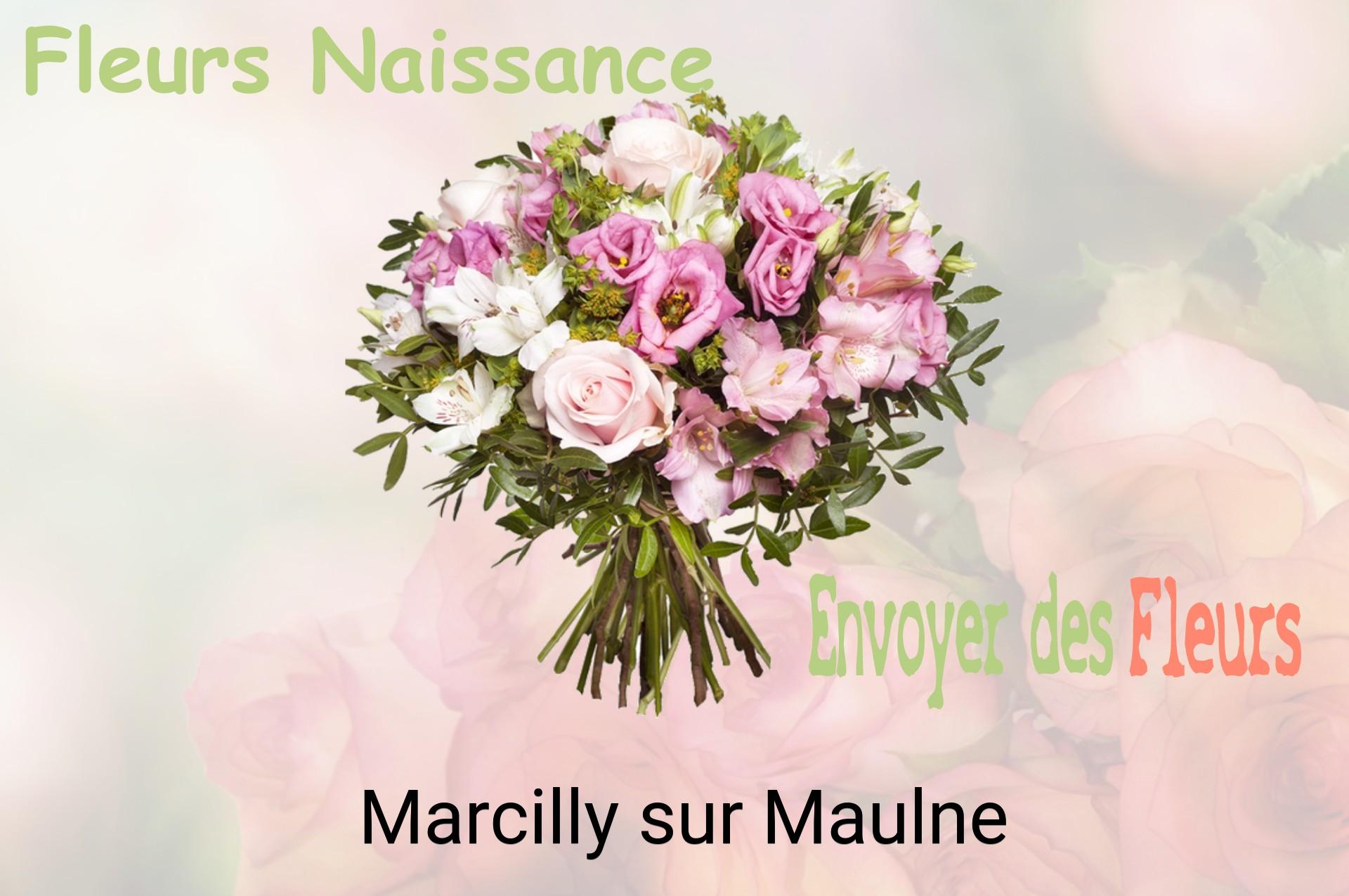 Bouquet de fleurs de naissance livré à Marcilly-sur-Maulne